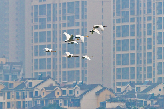 江西经济转型求变：注入生态、创新、智能多重因子