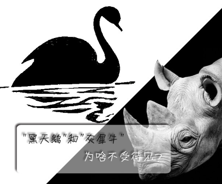 "黑天鹅"和"灰犀牛"为啥不受待见?