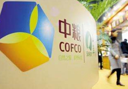 中粮系其第一大股东