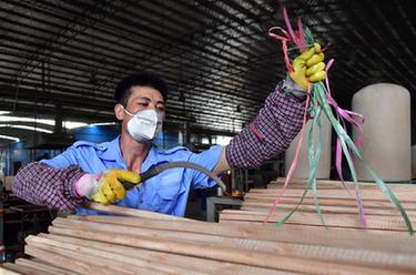 廣西鹿寨：做強林業産業 助推脫貧攻堅