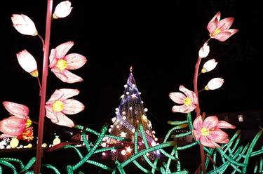 第二屆紐約花燈遊園會開幕