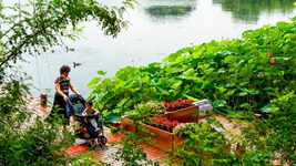 告别大拆大建，老城焕发新生&mdash;&mdash;北京老城正在发生的变迁