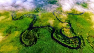 守好最北生态屏障&mdash;&mdash;黑龙江大兴安岭林区转型记