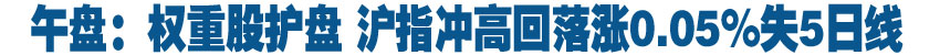 午盘：权重股护盘 沪指冲高回落涨0.05%失5日线
