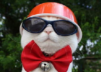 发财的10大禁忌 看看你是一副穷人的性格吗？