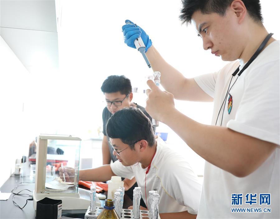 （走向我们的小康生活）（6）辽宁盘锦：“稻蟹共生”让农民“双收”奔小康