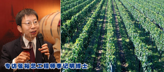 专访张裕总工程师李记明博士