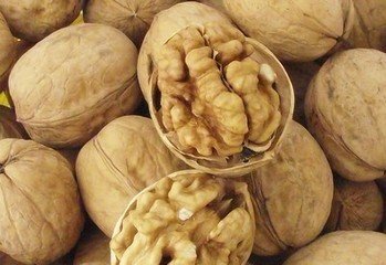 碱性食物能健脑增强记忆力？