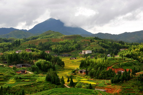 大田县屏山乡茶乡