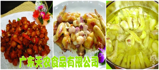 广东天农食品有限公司