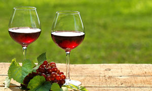 专家：中国葡萄酒业已告别暴利时代