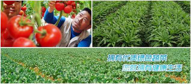 云南春天农产品有限公司