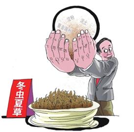 价格相差10多倍 四川云南产虫草都打“青海牌”