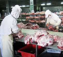 质量问题由来已久:氨气泄漏曾致16吨肉污染