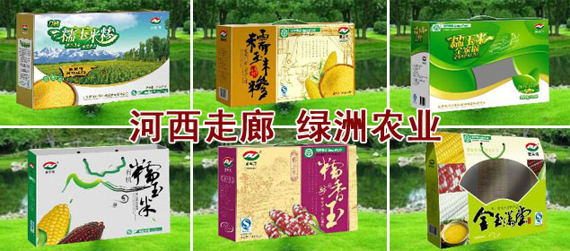 甘肃黄羊河集团食品有限公司