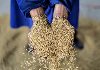 始终坚持有力集中统一的组织领导