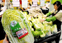 始终坚持科学规划分步实施的目标定位