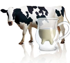 中国乳业"出海"布局 牵手"联姻"