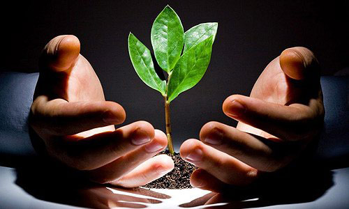 保健行业整顿利好上市公司