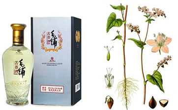 劲酒欲打造健康白酒第一品牌