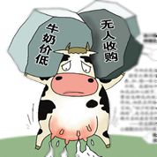 公众对国产奶信心低