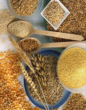 刘昕委员:我国良种增产贡献率仅为43%