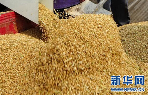 "三问"粮食生产&mdash;&mdash;政协农业界别联组会讨论侧记