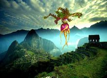 "疯狂"玛咖 未来何往?