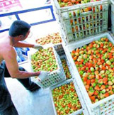 长丰损失超1.5亿