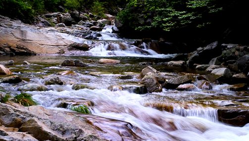 迎驾贡酒：大自然是最好的酿酒师
