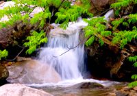 生态剐水：大别山&ldquo;竹根水&rdquo;