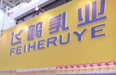 飞鹤乳业发表声明称奶源安全无污染