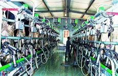 向公众首晒生产工艺 重塑公信力