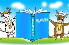 乳制品标准五年内将会重点修订