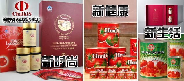 新疆中基实业股份有限公司