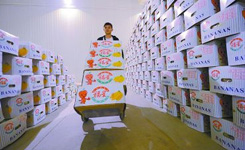 北京6000余农批商户入驻河北高碑店新发地