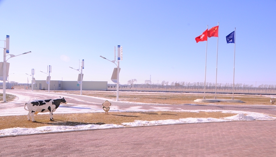 雀巢投2亿元黑龙江建牧场