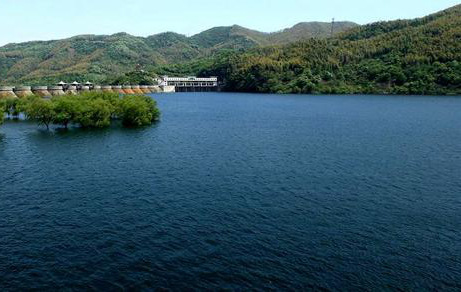 最美酒乡从何而来？安徽日报亲临迎驾验成色