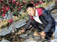 食品安全"双创"