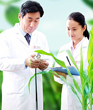 金正大铸就中国肥业新&ldquo;坐标&rdquo;