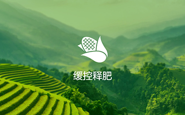 从&ldquo;追赶者&rdquo;到&ldquo;领跑者&rdquo;