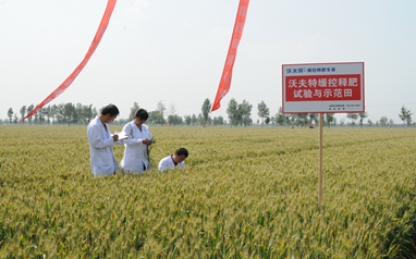 金正大收购荷兰控释肥企业 布局全球市场