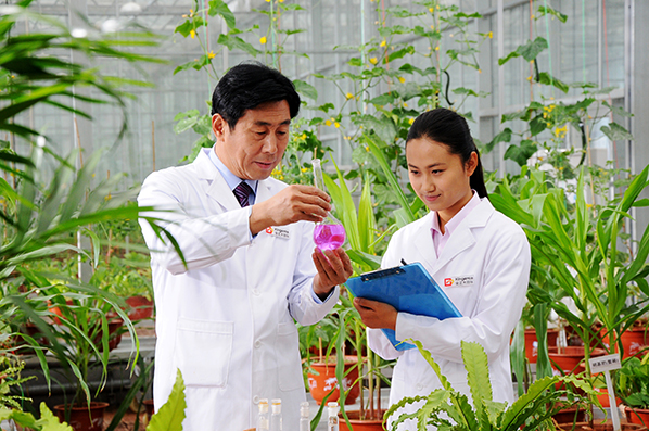 金正大:我国新型肥料推广的佼佼者