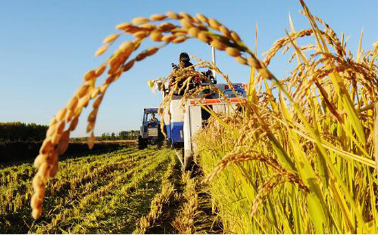 萬連步:加快推進化肥産業轉型升級