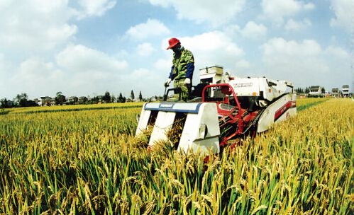 万连步：推进土壤改良修复工程