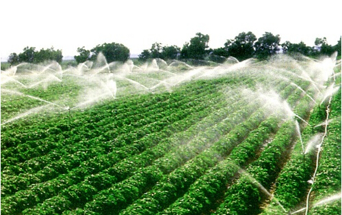 万连步：大力发展节水农业