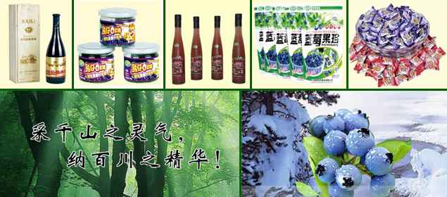 中国北极蓝莓华东运营中心