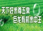 黑龙江巨龙食品五常米业