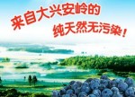 大兴安岭佰利食品有限公司