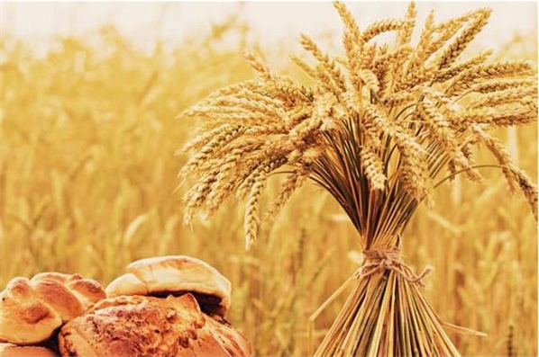 农业部:前5月我国农产品总体合格率为97.2%